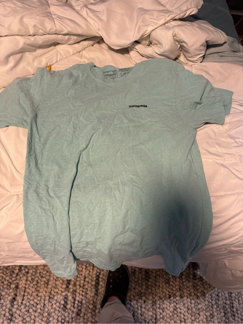 Patagonia Men's Short-Sleeve Crew Tee in Mint Green